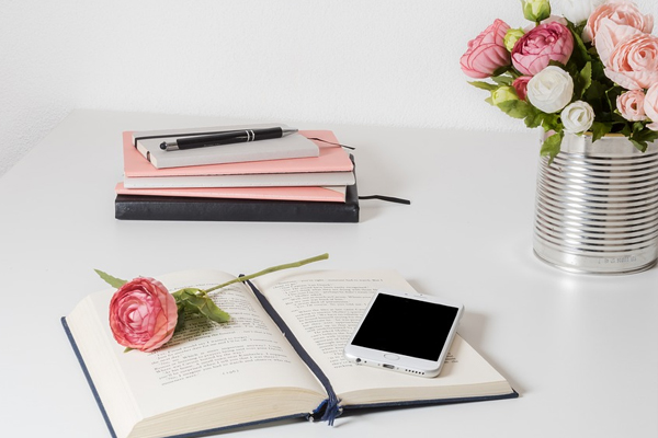 支付宝铂金会员好升吗？铂金会员牛吗？