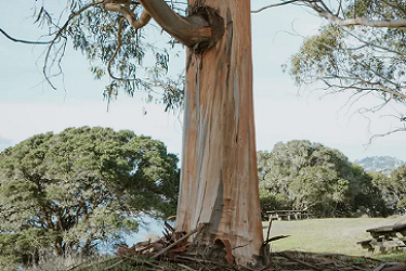 淘宝转化率低了怎么提高？什么是转化率？