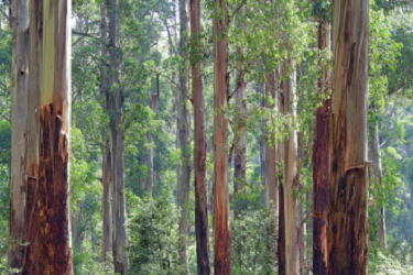 淘特怎么上产品？有哪些条件？