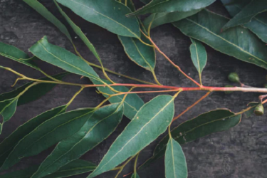 淘宝开店铺需要交保证金吗？哪些类目必须要交？