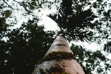 淘宝逛逛发视频能赚钱吗？怎样操作？