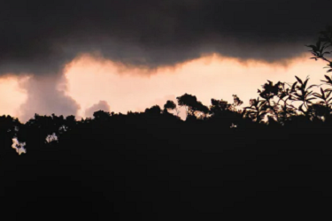 淘宝销售范围模板怎么删除？模版是什么？