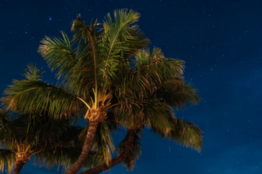 淘宝盗图可以起诉吗？如何投诉？