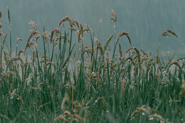 淘宝开店流量和地理位置有关系吗？如何获得流量？