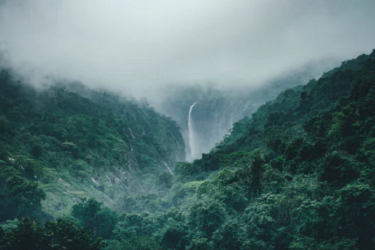 淘特小蜜需要付费吗？有用吗？