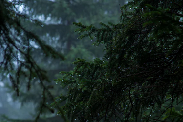 淘宝商品降权的影响是什么？为什么被降权？