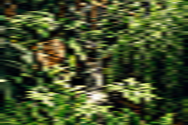 支付宝报销金什么意思？好不好用？