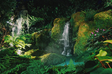 闲鱼分期付款怎么弄？有哪些付款方式？