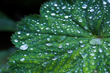 怎么在天猫上开网店？要哪些资料？