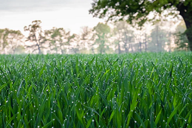 淘特聚量计划怎么收费？如何计算？