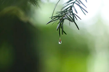 闲鱼一件代发哪个平台利润大？如何赚钱？