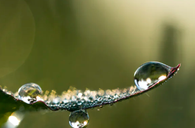 淘宝网店运营怎么操作？如何分析？