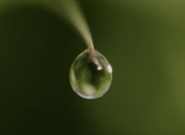 京东发货途中不想要了怎么办？多久退款？