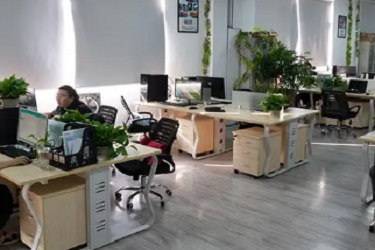 淘宝品牌不一致属于严重违规吗？有哪些情形？