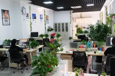 亚马逊测款的时候需要开折扣吗？有哪些技巧？
