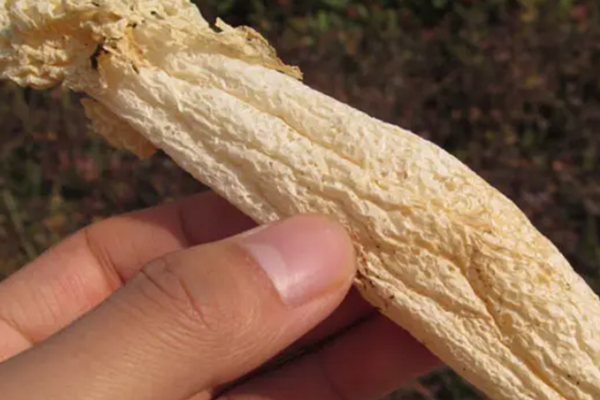 抖音山货上头条的东西好吗？上头条怎么弄？.png