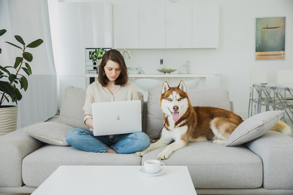 1688无货源电商怎么做？1688无货源怎么运营？