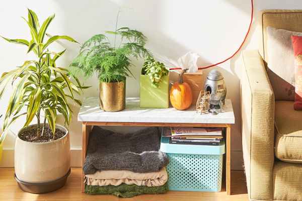 无货源网店可以做吗？无货源淘宝网店怎么做？