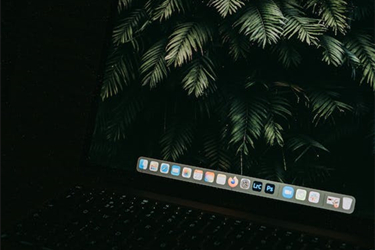 闲鱼平台手续费扣多少？平台交易可靠吗？