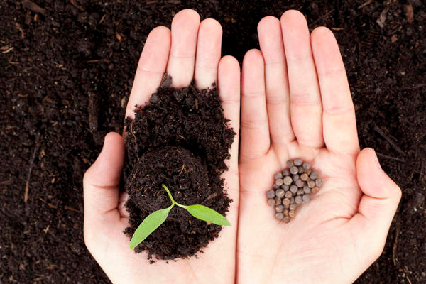 支付宝金秋消费节红包如何使用？领的实体店红包怎么用？