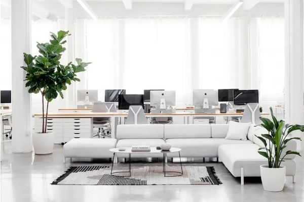 淘宝网页版入口在哪？能看直播吗？