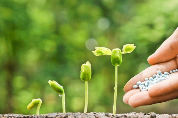 什么是大额补单？递增补单到底有没有用？