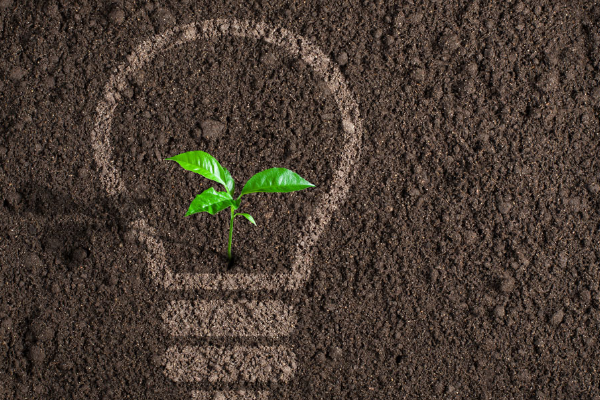 淘宝食品备案需要本人吗？上架食品怎么备案？