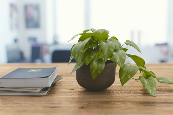 个人淘宝店经营食品咋备案？附备案审核不过原因