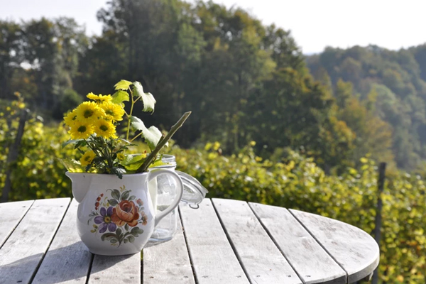 淘宝新店如何破零6个方法？新品必须24小时破零？