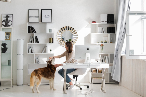 2023年天猫续签有何变化？不续签后能续签吗？