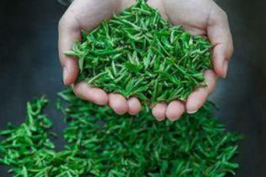 天猫如何开店卖茶叶？天猫卖的茶叶是正品吗？