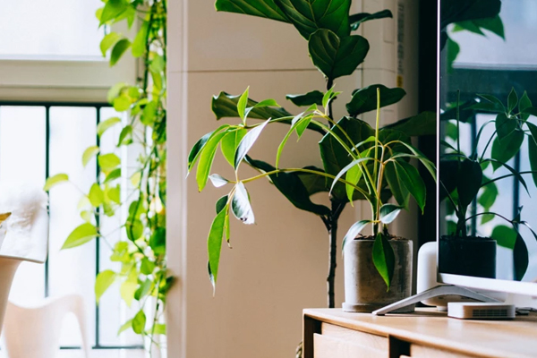 淘宝销量怎么做上去？拍多件算销量吗？