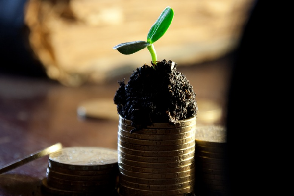 2023年天猫38焕新周招商要求是什么？准入原则是什么？