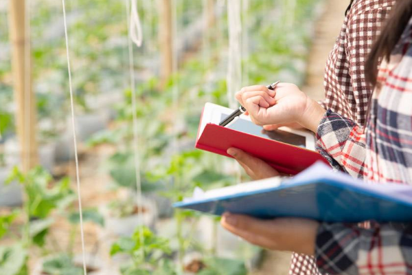 淘宝今年七夕有活动吗？今年七夕淘宝有什么活动？