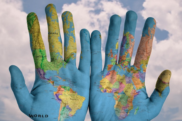 淘宝补单怎么查物流信息？补单物流信息怎么填？