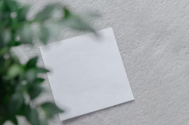 TikTok将于11月1日起实施新卖方结算政策