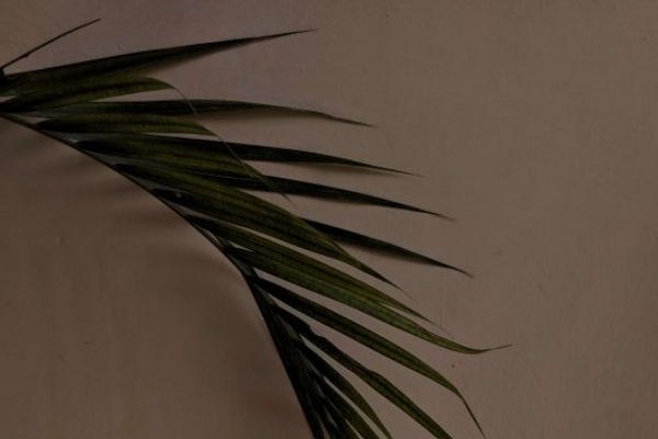 淘宝前期要不要补大单？补大单有什么用？