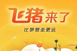 飞猪双11招商规则是什么？商品报名是什么时候？