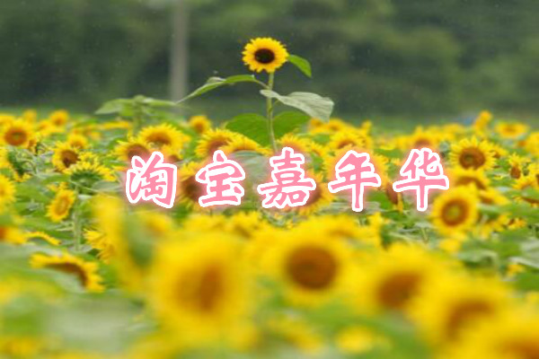 淘宝嘉年华【女装产业带】会场规则是什么？