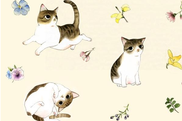 618叠猫猫怎么退出战队？可以换队长吗？