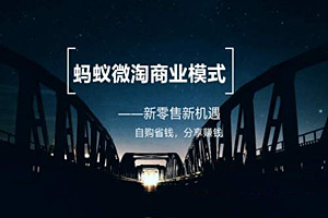 蚂蚁微淘怎么赚钱的？做蚂蚁微淘有风险吗？