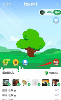 蚂蚁森林合种怎么邀请好友？合种好友能看见吗？.png