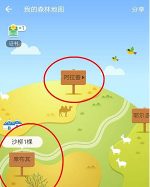 蚂蚁森林阿拉善的树具体种在哪里？蚂蚁森林现状如何？.jpg