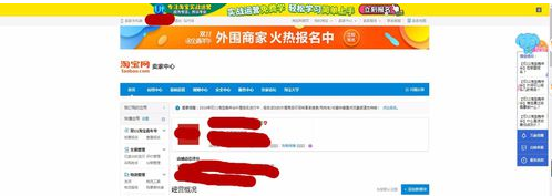 双十一
