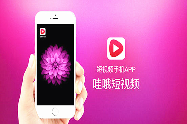淘宝哇哦视频关注怎么看？哇哦视频的要求是什么？