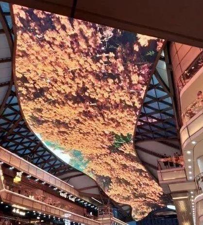 郑州抖音网红景点，打卡须知