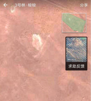 蚂蚁森林阿拉善的树具体种在哪里？蚂蚁森林现状如何？.jpg