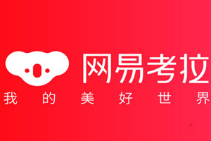 阿里收购网易考拉风波：行业将迎来新格局
