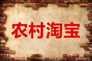 开农村淘宝店会有补贴吗？怎么补贴？