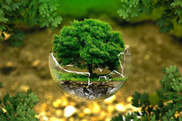 蚂蚁森林给别人浇水后自己的能量会变少吗？如何获取能量？